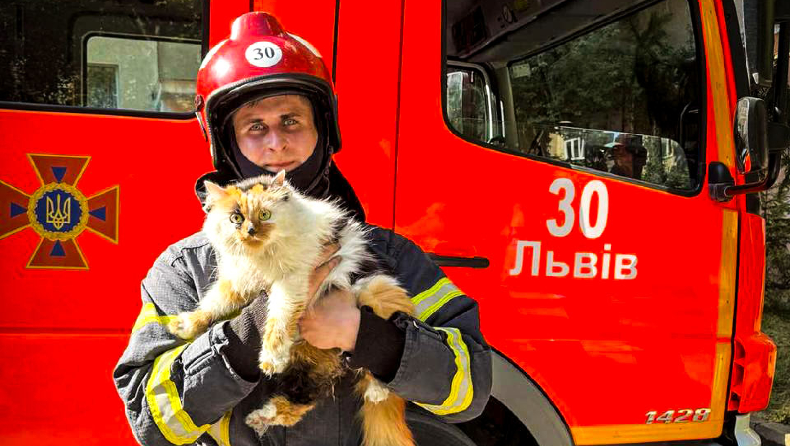 Під час пожежі у Львові рятувальники винесли двох котиків