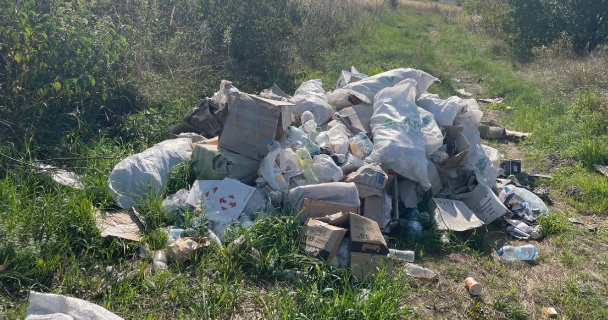 Нелегальна купа сміття у Великих Мостах: кого покарають і коли справлять порядок