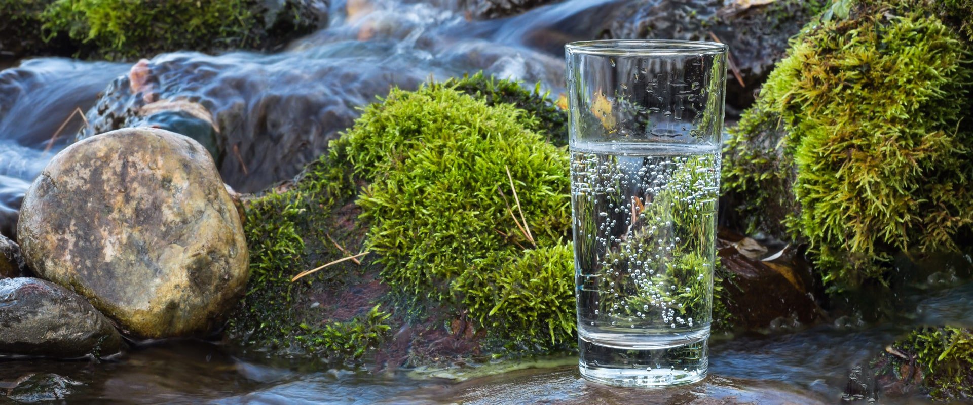 ЄБРР підтримує львівський бізнес: з’явиться великий завод