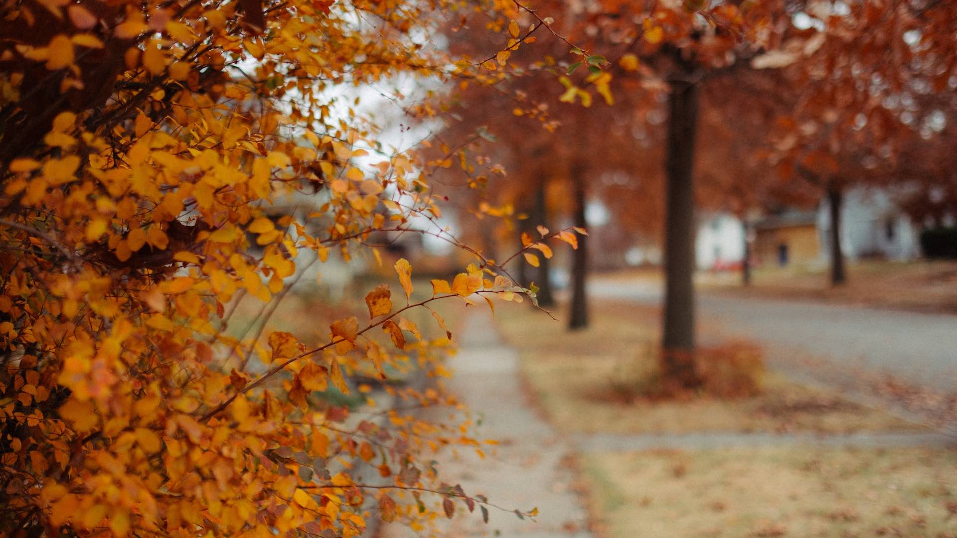 До +16° та хмарно: якою буде погода на Львівщині 25 вересня