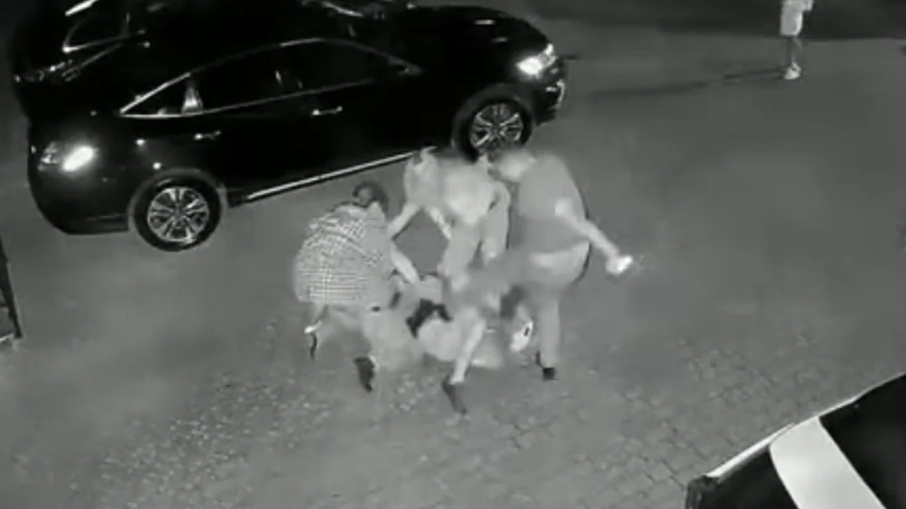 Насильство у Львові: чоловік жорстоко побив директорку фестивалю, яка захистила жінку з дітьми (ВІДЕО)