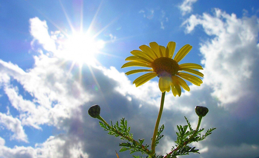 Спекотно та без опадів: якою буде погода цієї п’ятниці на Львівщині