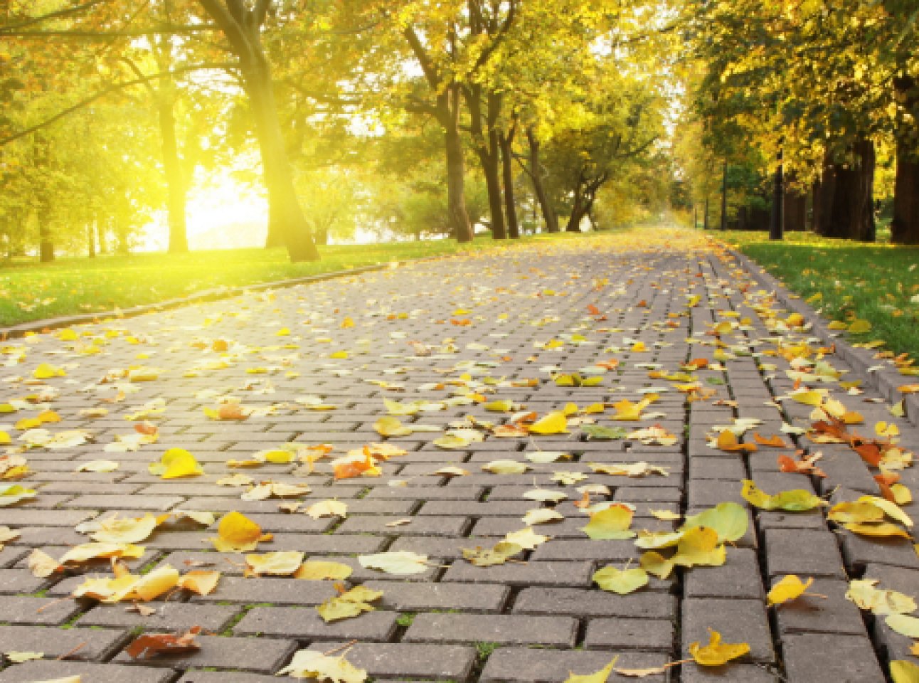 Тепло повертається: синоптики розповіли, якою буде погода на Львівщині 10 вересня