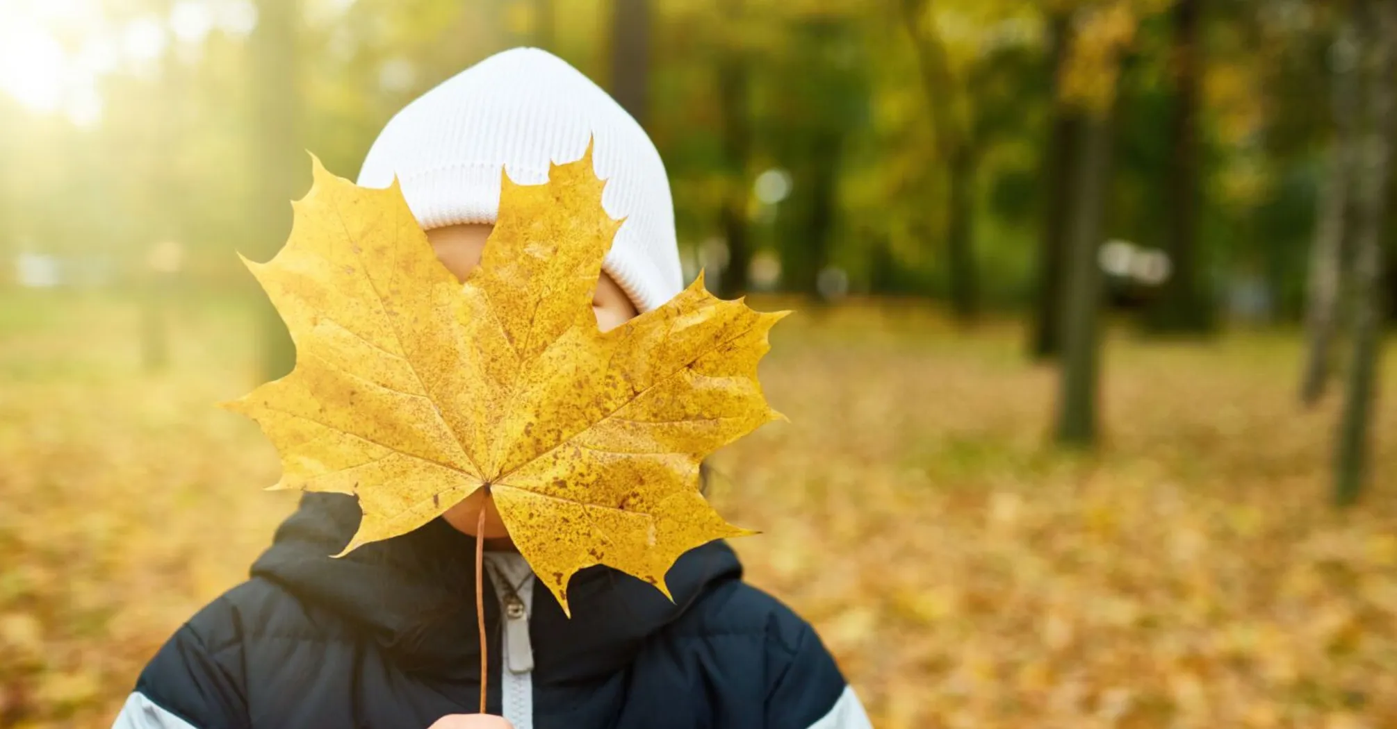 Температура сягне +17°: на Львівщині прогнозують потепління