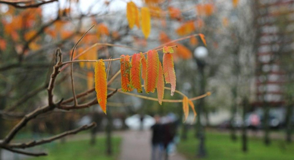 Якої погоди чекати 7 жовтня у Львівській області?