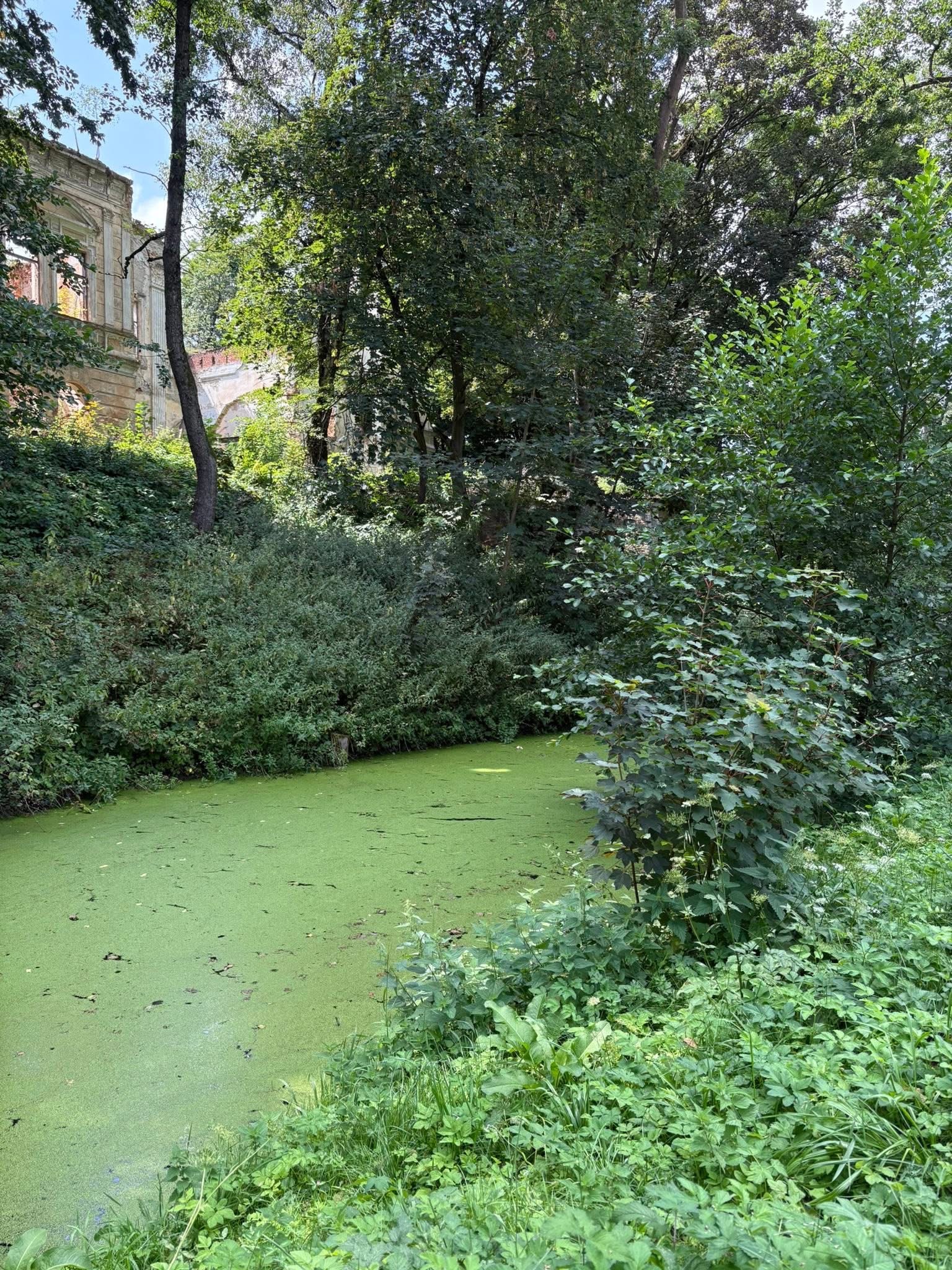 Біля палацу Марсів у Судовій Вишні облаштують відпочинкову зону