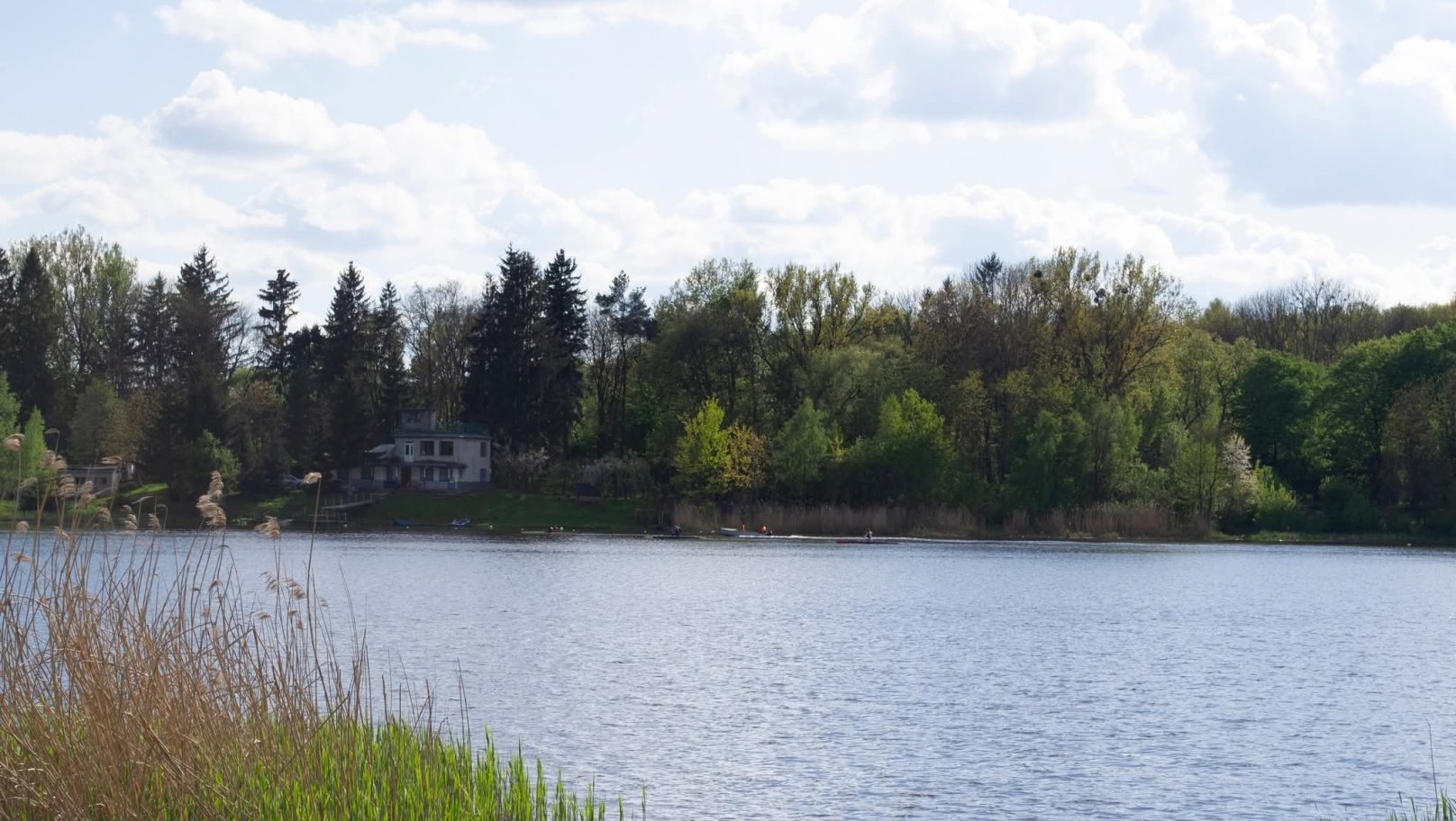 Площа 700 га: у Львівській громаді з’являться три заповідні території