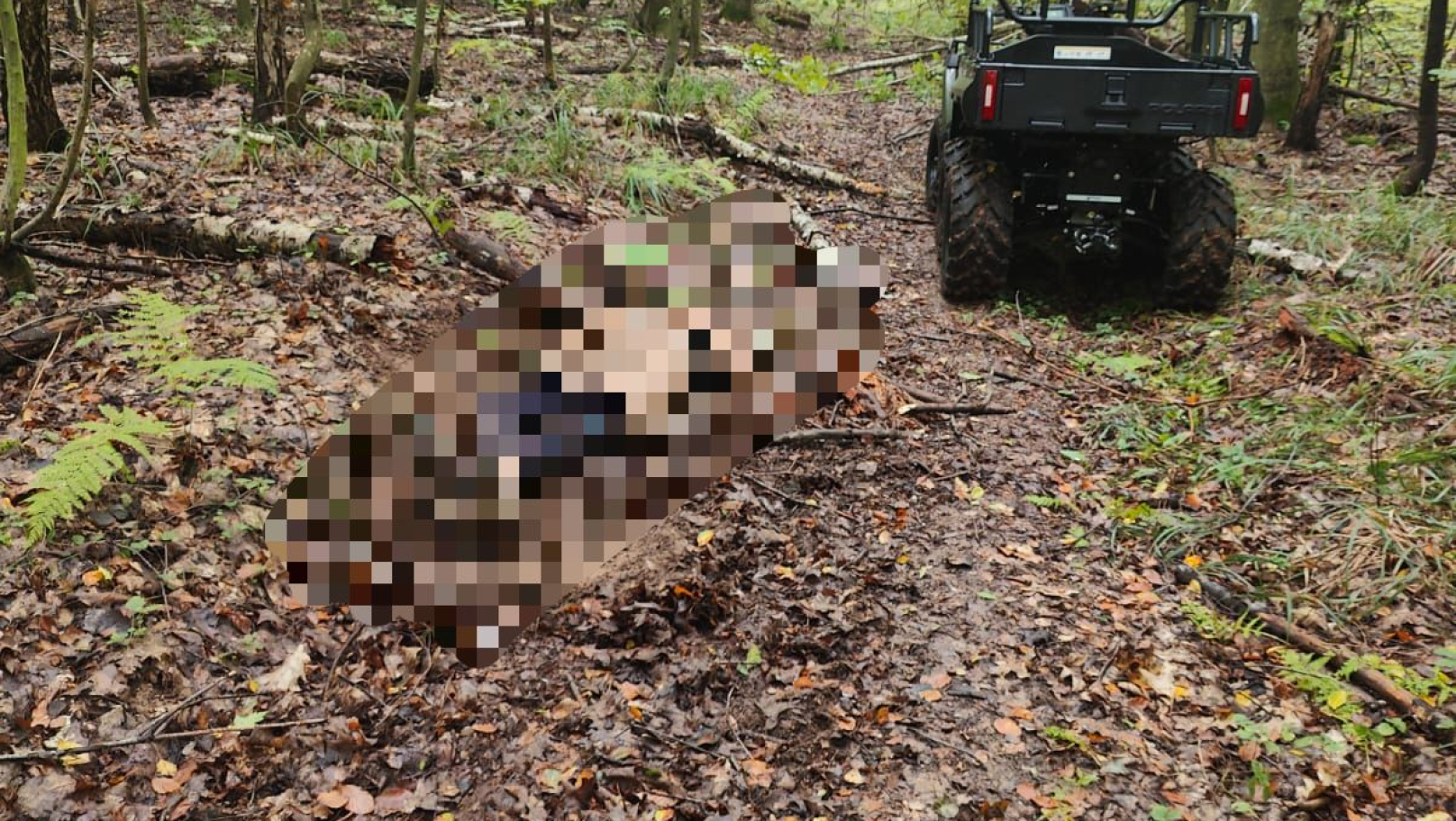 На Стрийщині у лісі знайшли мертвого чоловіка, який зник напередодні