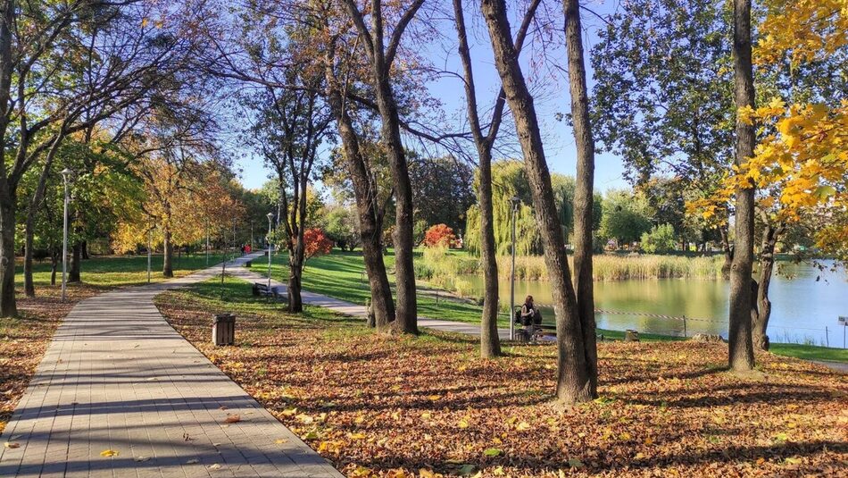 У Львівській громаді одні з найкращих показників кількості зелених зон