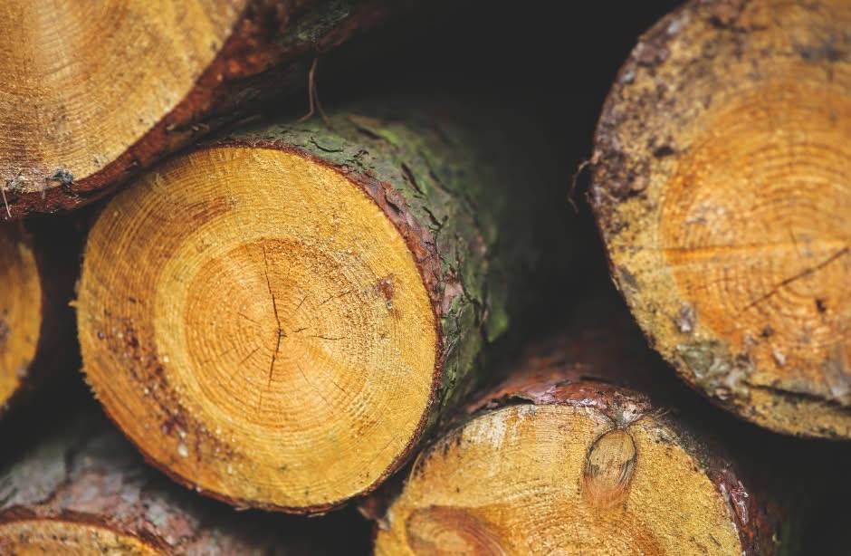 Субсидія на дрова та тверде паливо: хто і як може отримати допомогу