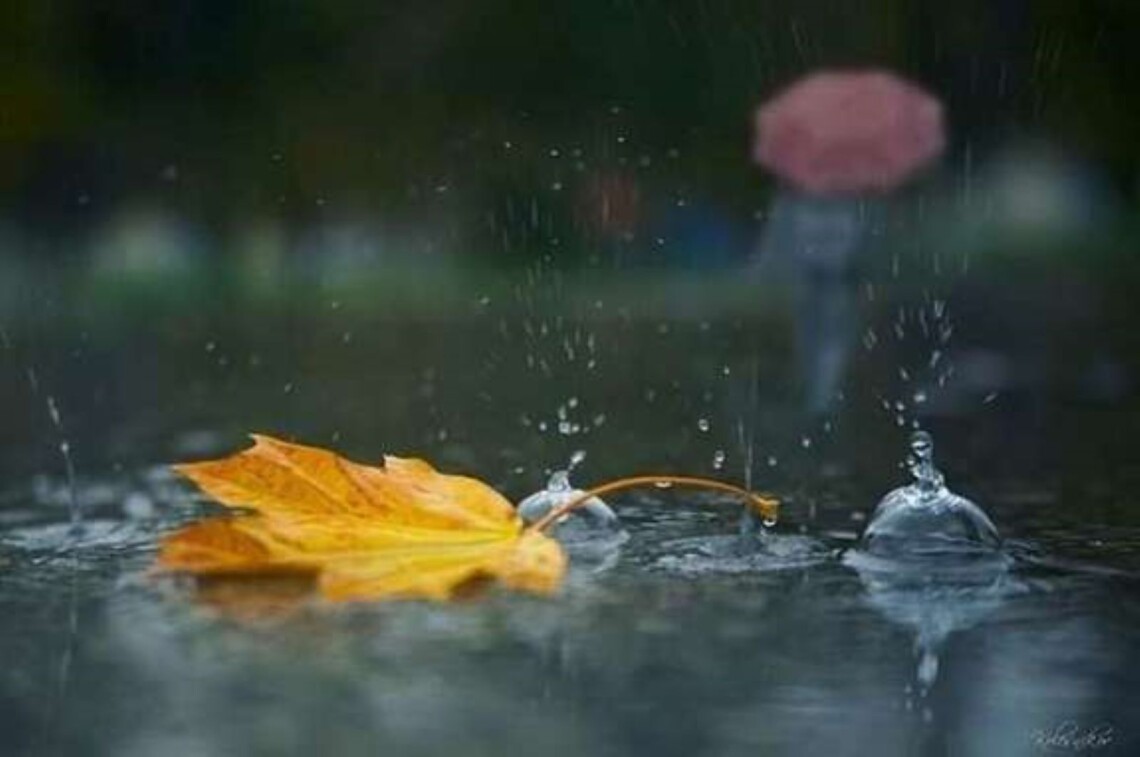 Можливі опади та до +11°: якою буде погода цього вівторка на Львівщині