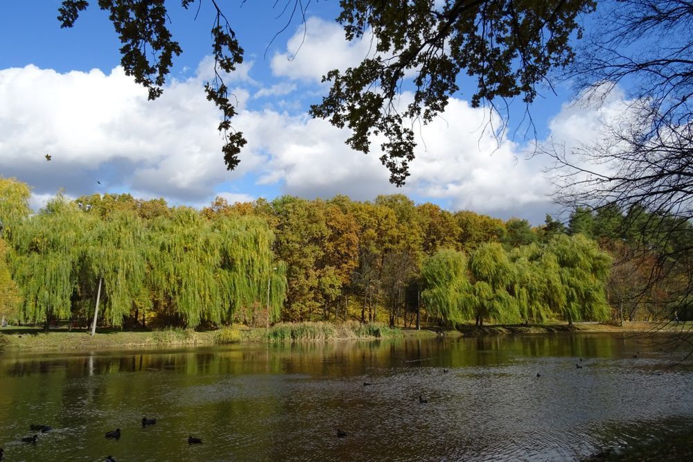 Прокуратура програла: суд визнав законним котеджне містечко біля озера в Брюховичах