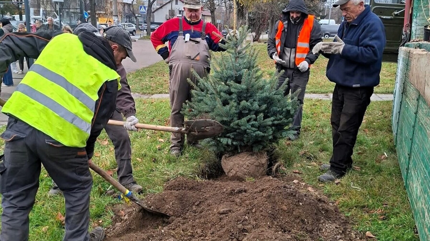 В одному з районів Львова висадили понад 125 дерев та кущів