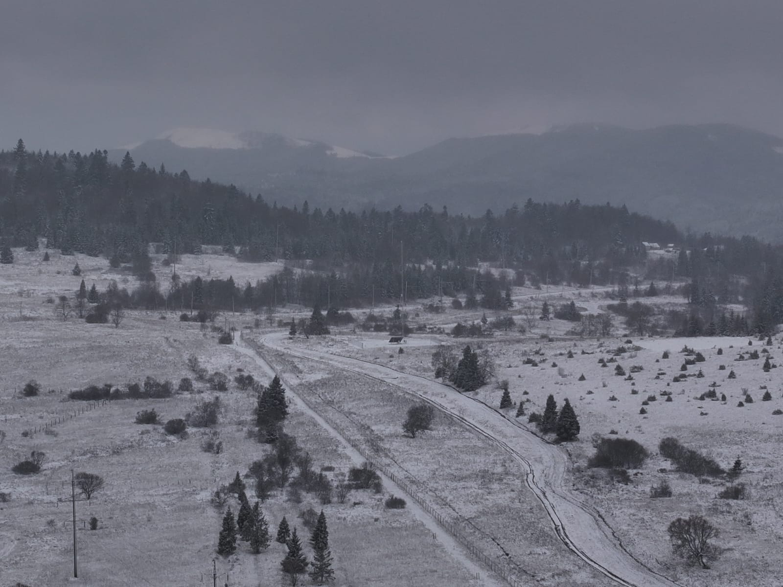 Зима на кордоні: прикордонники показали атмосферні кадри зі Львівщини