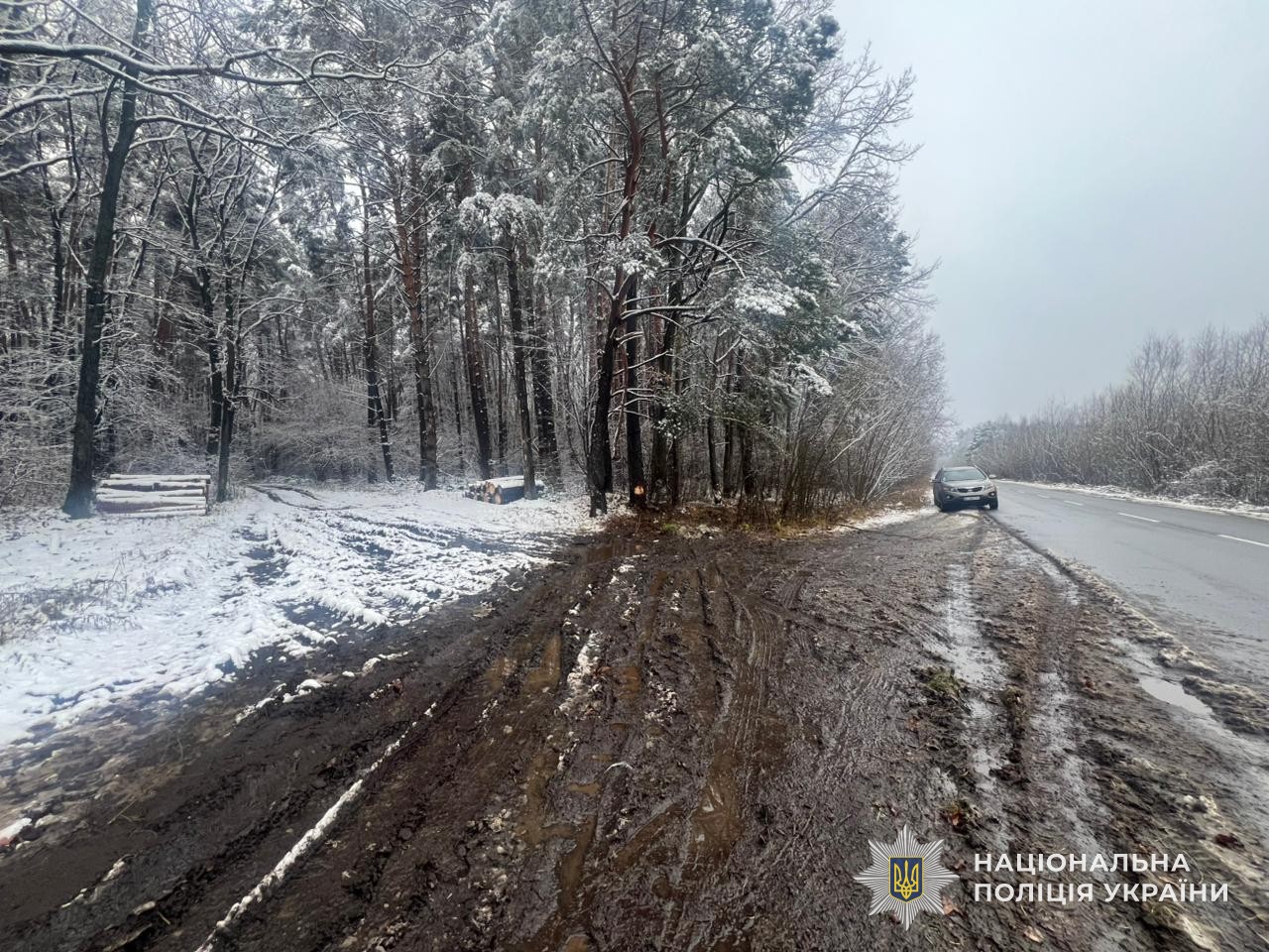 На Золочівщині Renault злетів з дороги та перекинувся: 51-річна пасажирка у лікарні