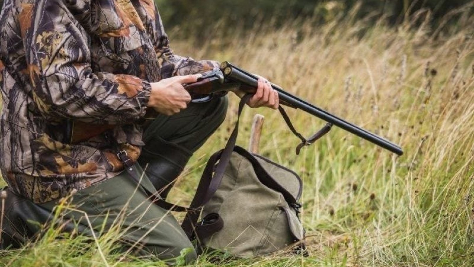 У кількох громадах Львівщини відстрелюватимуть хижих та бродячих тварин