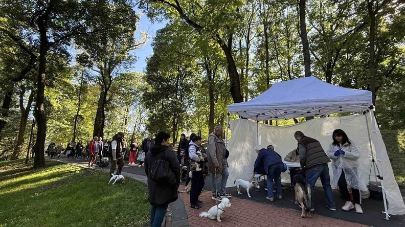 У Снопківському парку безкоштовно вакцинуватимуть котів та собак від сказу