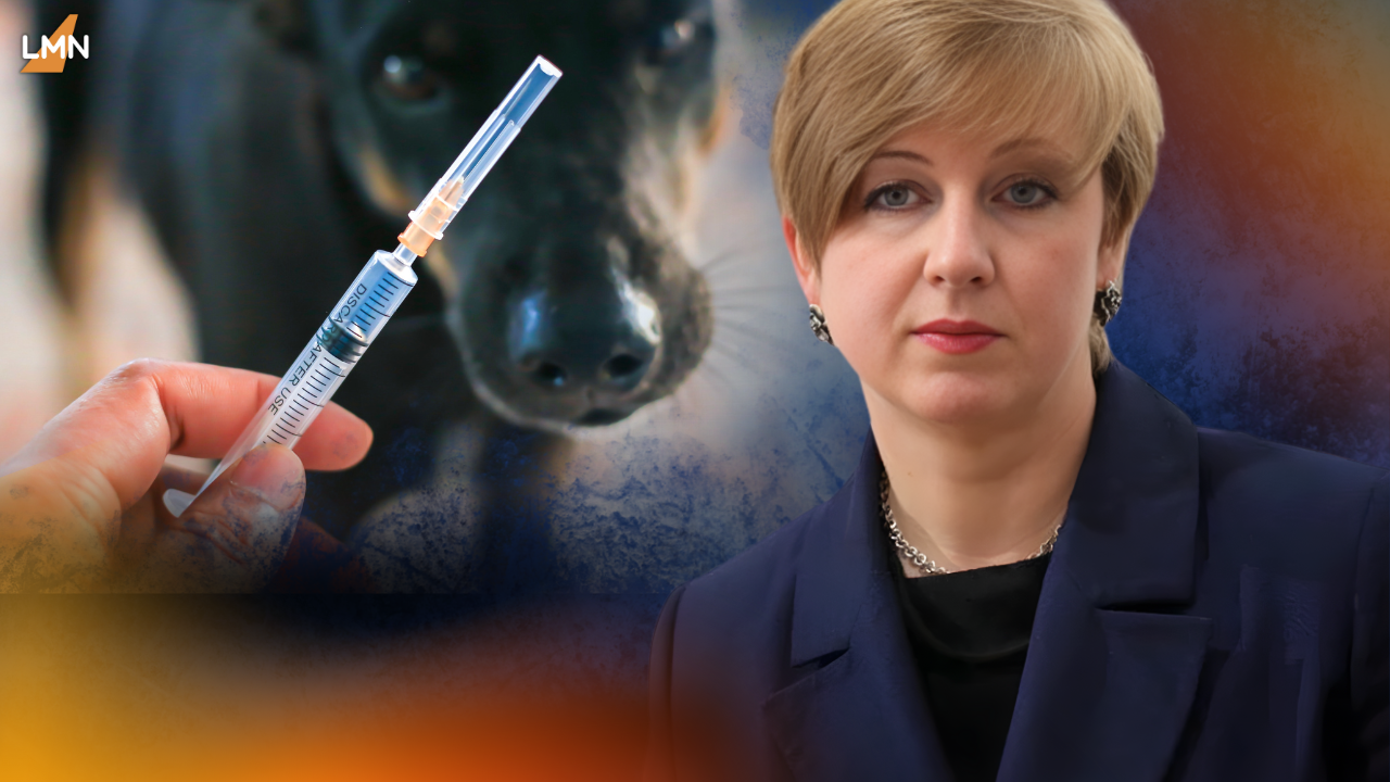 «Ризик сказу зростає»: у Львівському центрі контролю хвороб пояснили причини та необхідність рішень щодо диких тварин