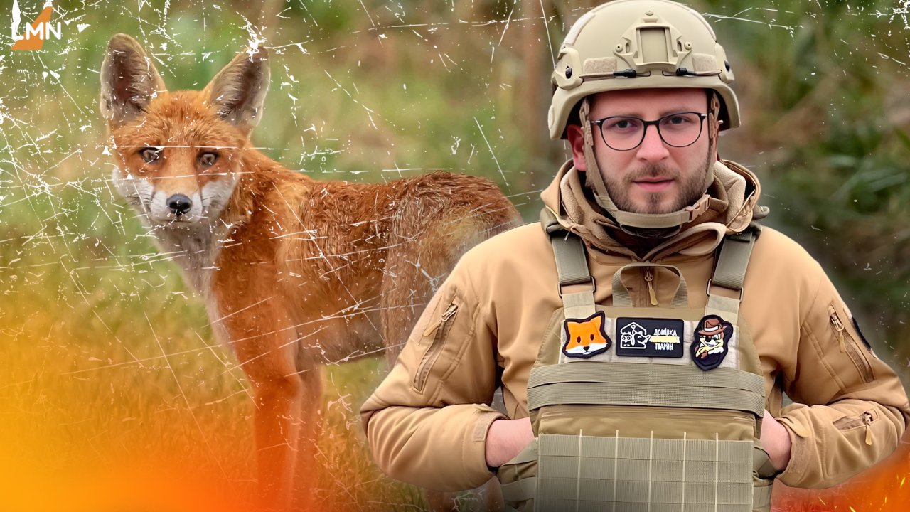 «Відстріл — не вихід»: керівник Домівки врятованих тварин розкритикував рішення про стрілянину диких тварин на Львівщині