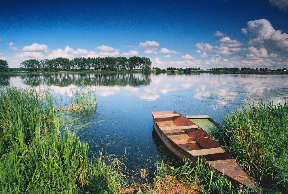 Тіньовий бізнес на державній воді: водосховище повернули після років незаконного користування