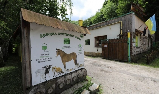 “Базар добра”: львівський притулок проведе благодійний фестиваль на підтримку тварин