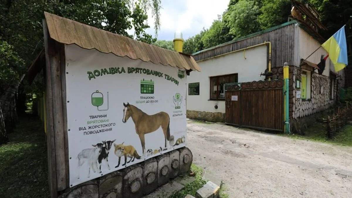 «Миколай у Домівку»: у Львові стартувала благодійна акція для допомоги притулку