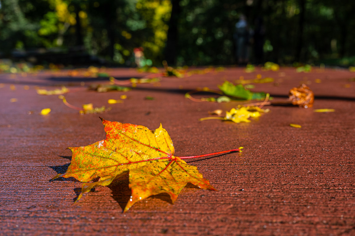Сьогодні у Львові прогнозують потепління