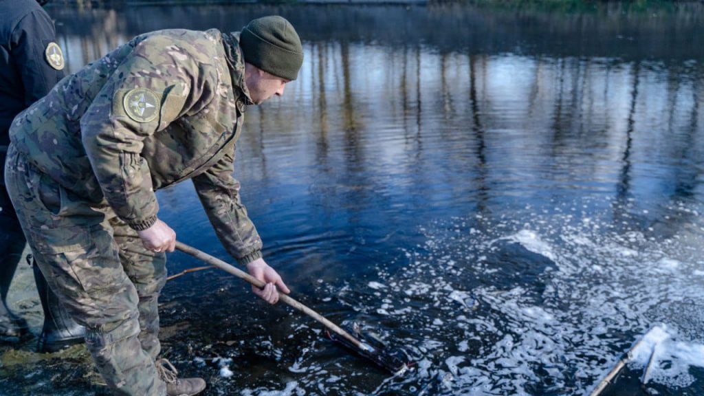 Для збільшення популяції у “Львівське море” випустили тисячі молодих товстолобів