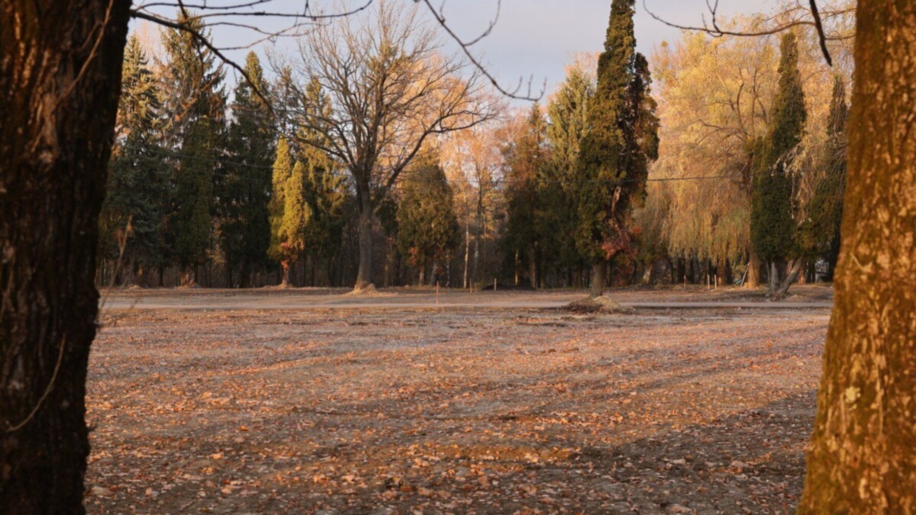 Поховання Захисників України продовжать на новому полі почесних поховань на вул. Пасічній (ВІДЕО)