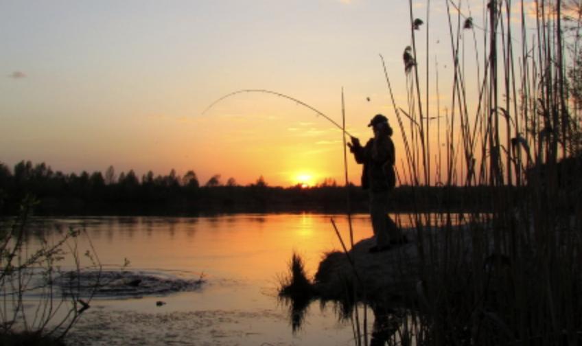 Рибу ловити заборонено: на Львівщині ввели нові правила