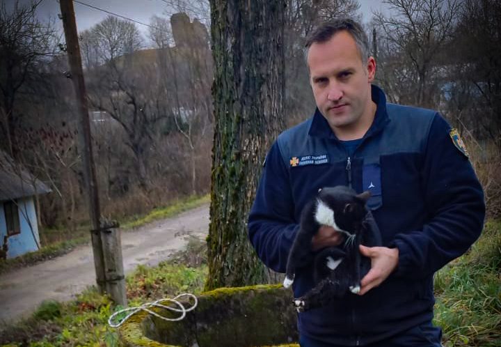 Зворушлива історія порятунку: на Золочівщині врятували кота, який впав у колодязь