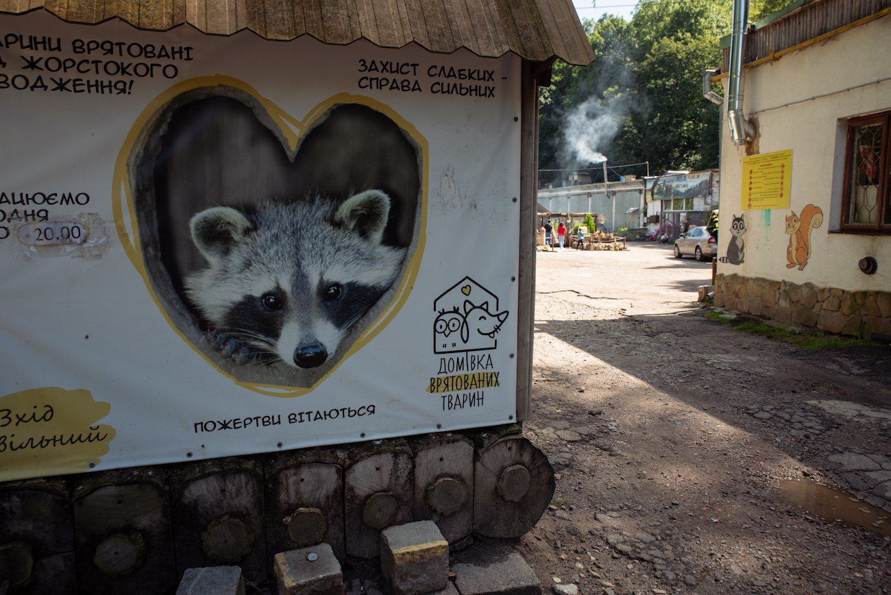 Миколай в Домівку: у львівському притулку просять допомогти з необхідними речами для тварин