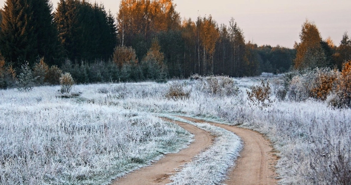 Синоптики розповіли, якої погоди чекати 18 грудня на Львівщині