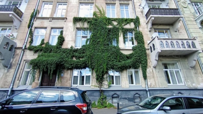 У Львові створили реєстр рослин