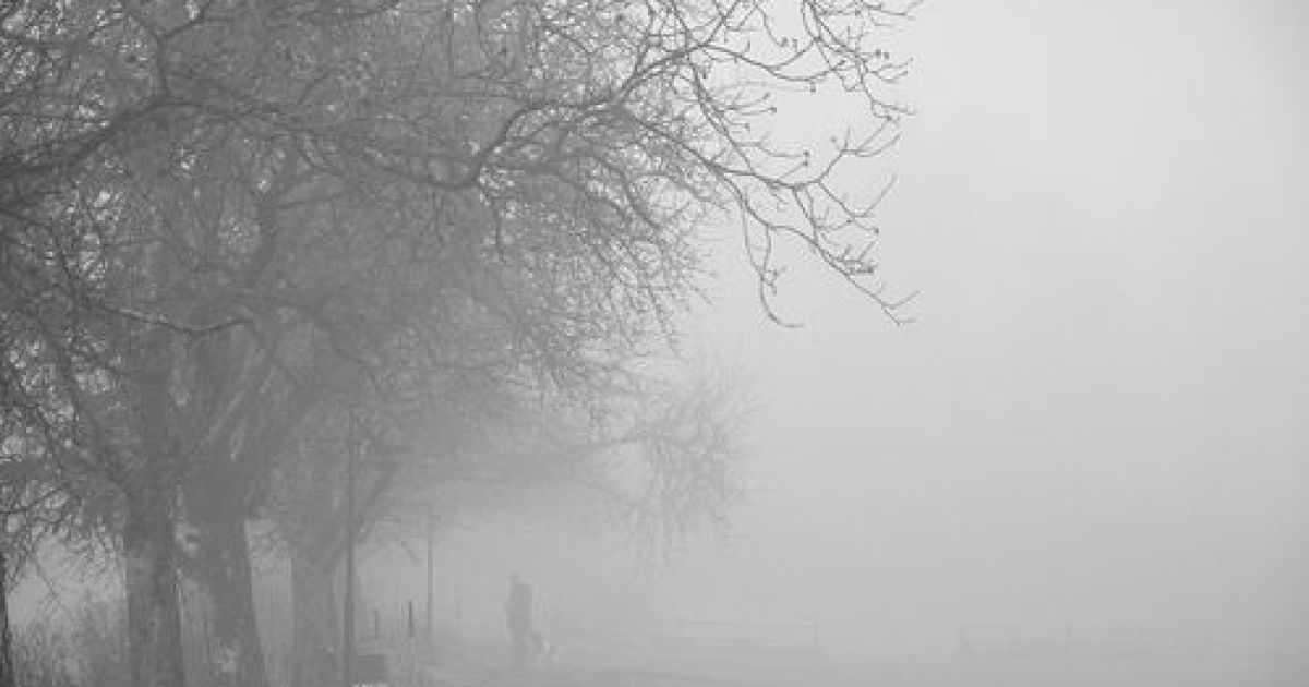 Дощ, туман та ожеледиця: якою буде погода на Львівщині 13 грудня