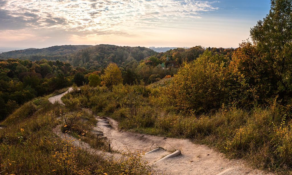У Львові чоловік на автівці заїхав у парк та травмував працівника «Муніципальної варти»