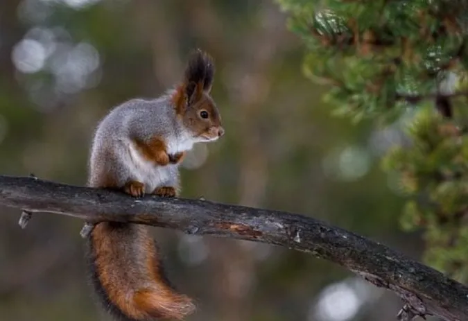 Похмуро та прохолодно: якою буде погода цими вихідними на Львівщині
