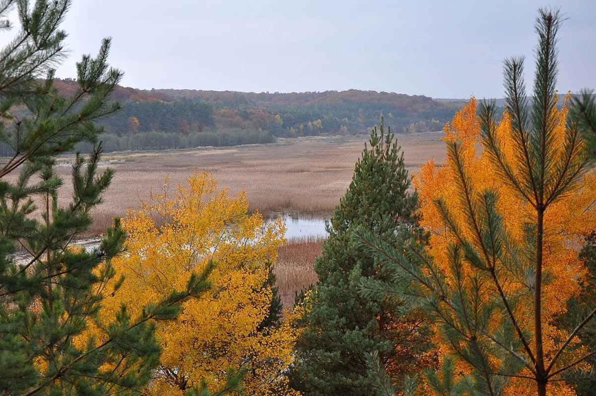 На Львівщині створили віртуальний тур унікальним водно-болотним угіддям заповідника “Розточчя”