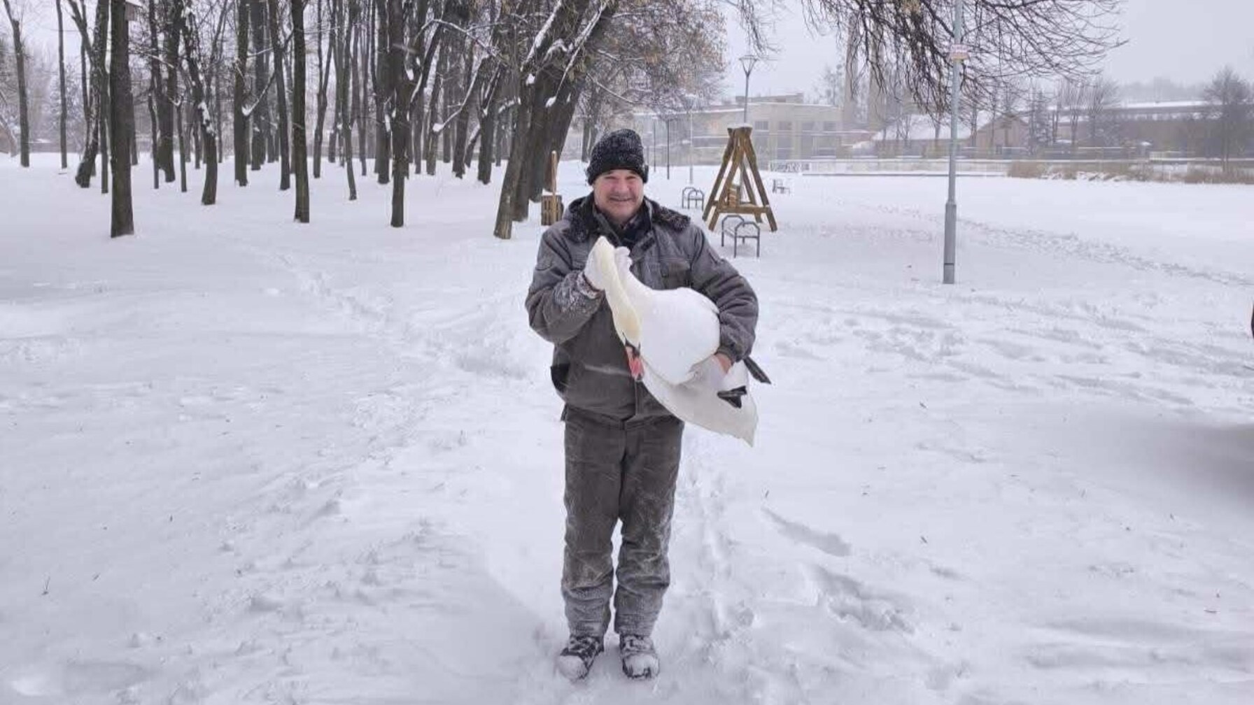 Через негоду лебедів з Левандівського озера тимчасово переселили в Домівку врятованих тварин