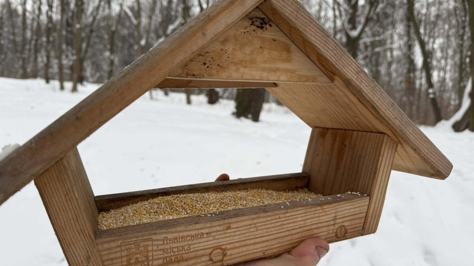У львівських парках встановили близько 60 годівниць для птахів: чим годувати пернатих