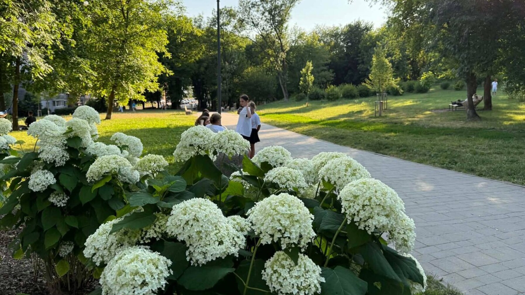 Львів’ян запрошують взяти участь в опитуванні про парки міста