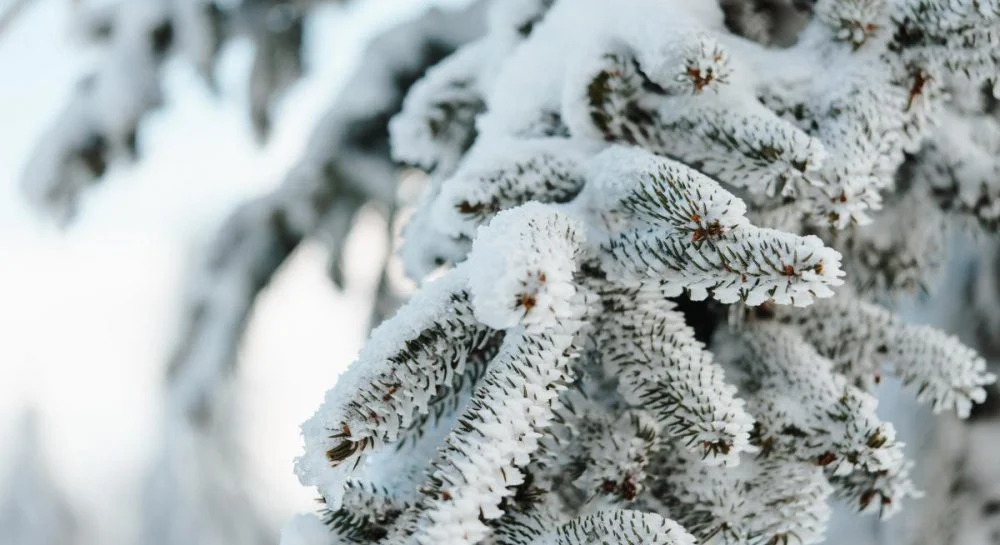 Мороз, туман та ожеледиця: якою буде погода 16 січня на Львівщині