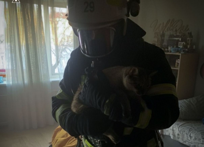 Пожежа на Кос-Анатольського у Львові: з задимленої квартири винесли кота