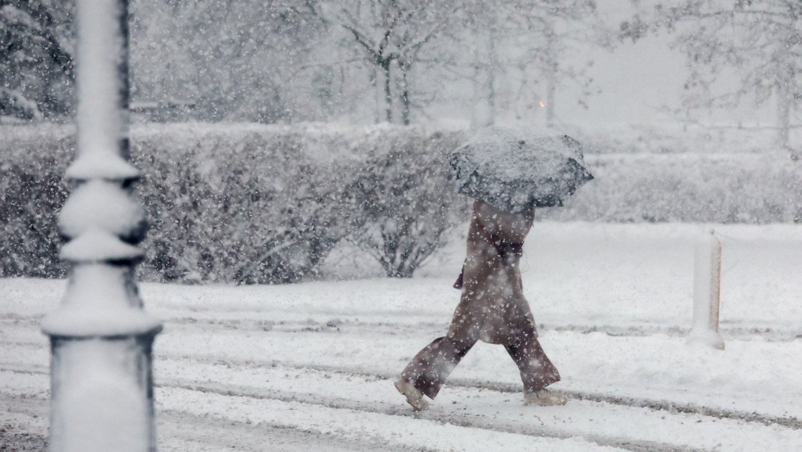 Хуртовини та 10° морозу: прогноз погоди на сьогодні у Львівській області