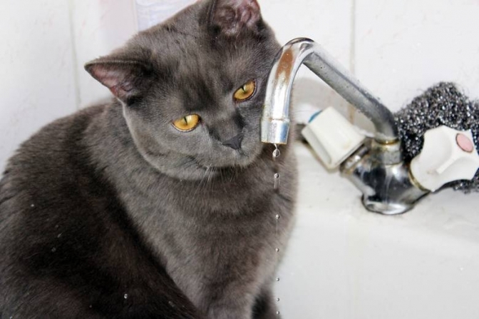 У Львові знову не буде води: перелік вулиць