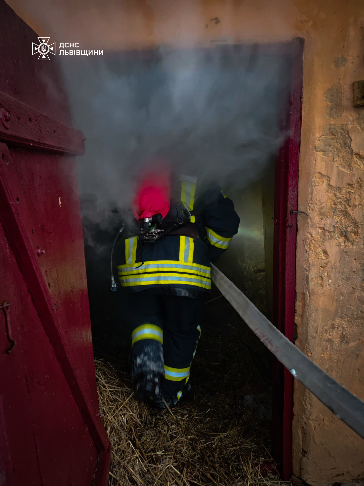 Пожежа на Яворівщині: у селі Бунів загинули свійські тварини