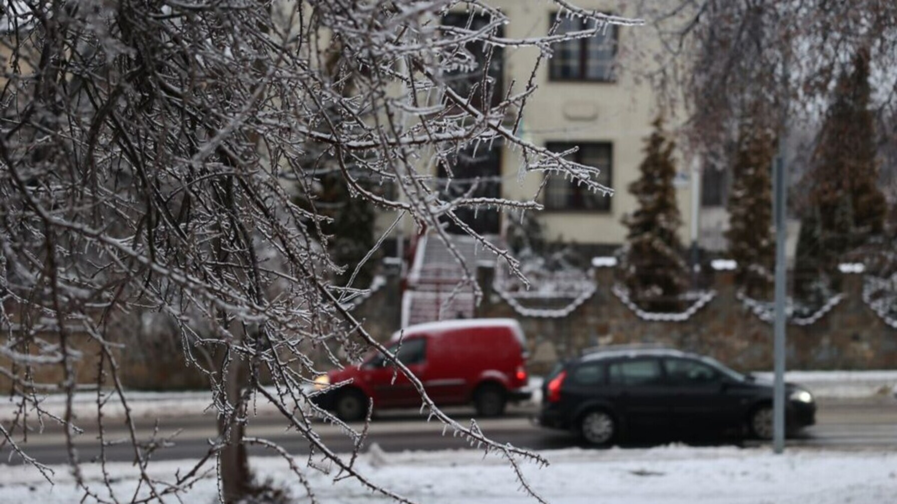 На неділю синоптики прогнозують густий туман, ожеледицю і налипання снігу
