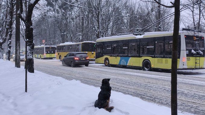 Через ворожу атаку у Львові тимчасово змінили рух тролейбусів