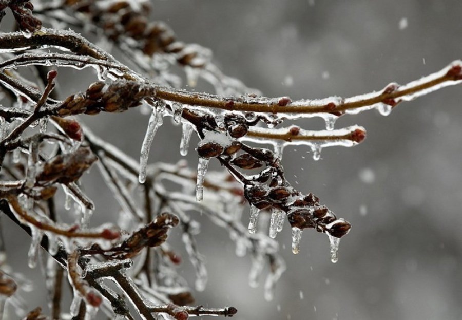 Відлига на Львівщині: чим небезпечна тепла погода взимку та як уберегтися