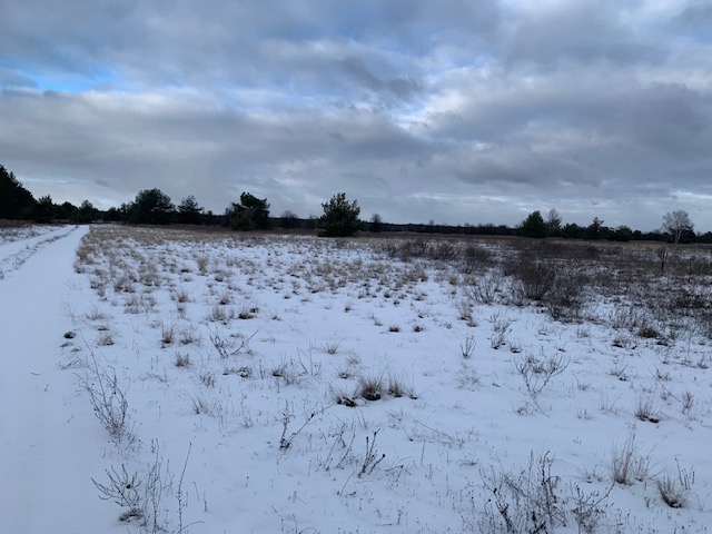 Аукціон без боротьби: ділянку на Сихові купили за 11 млн грн